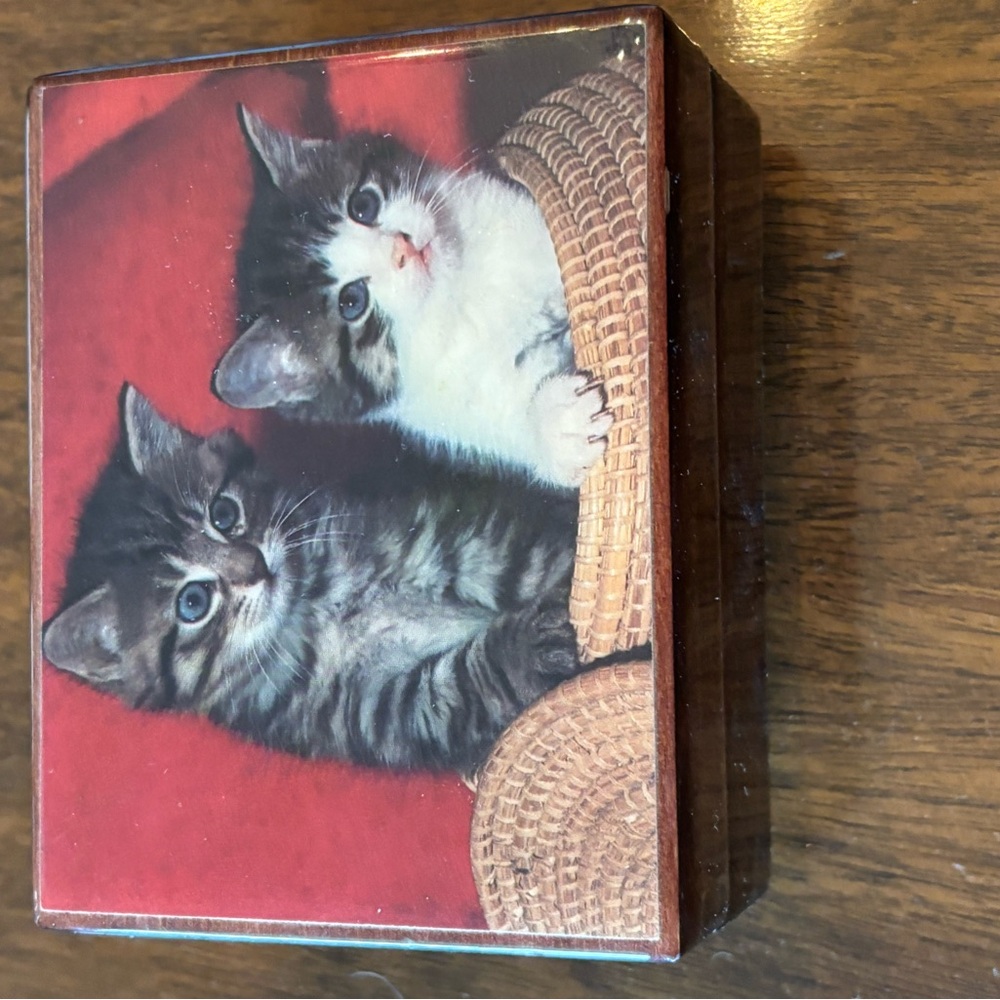 Adorable Kittens Decorative Box - Red and Brown